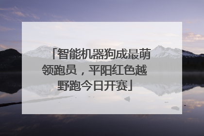 智能机器狗成最萌领跑员，平阳红色越野跑今日开赛
