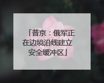 普京：俄军正在边境沿线建立安全缓冲区