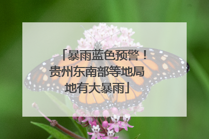 暴雨蓝色预警！贵州东南部等地局地有大暴雨