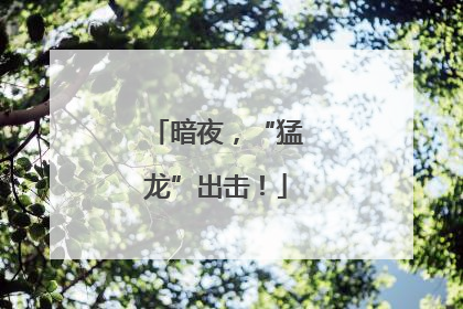 暗夜，“猛龙”出击！