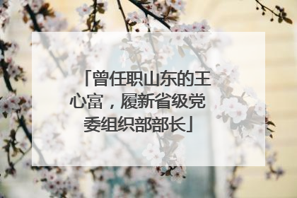 曾任职山东的王心富，履新省级党委组织部部长