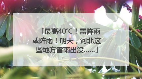 最高40℃！雷阵雨或阵雨！明天，河北这些地方雷雨出没……