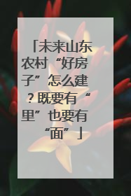 未来山东农村“好房子”怎么建？既要有“里”也要有“面”