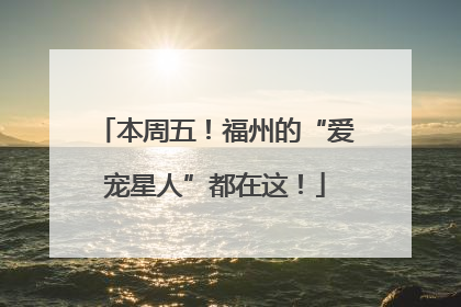 本周五！福州的“爱宠星人”都在这！