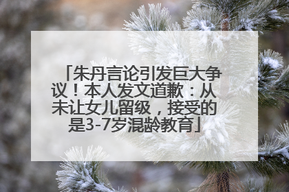 朱丹言论引发巨大争议！本人发文道歉：从未让女儿留级，接受的是3-7岁混龄教育