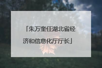 朱万奎任湖北省经济和信息化厅厅长