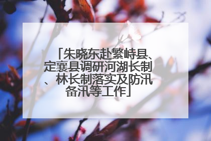 朱晓东赴繁峙县、定襄县调研河湖长制、林长制落实及防汛备汛等工作