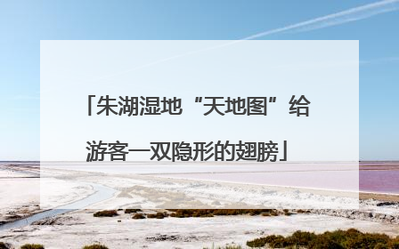 朱湖湿地“天地图”给游客一双隐形的翅膀