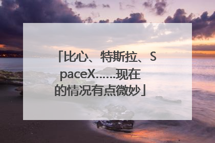比心、特斯拉、SpaceX……现在的情况有点微妙
