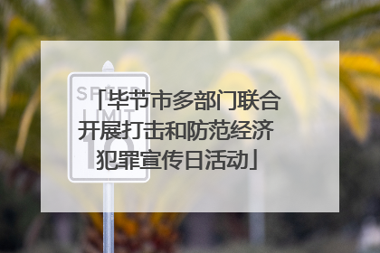 毕节市多部门联合开展打击和防范经济犯罪宣传日活动