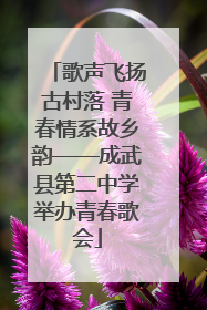 歌声飞扬古村落 青春情系故乡韵——成武县第二中学举办青春歌会