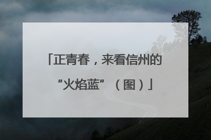 正青春，来看信州的“火焰蓝”（图）