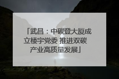 武昌：中碳登大厦成立楼宇党委 推进双碳产业高质量发展