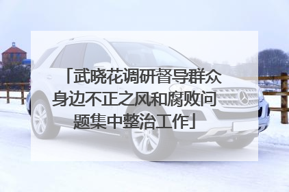 武晓花调研督导群众身边不正之风和腐败问题集中整治工作