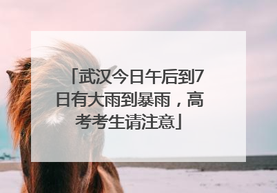 武汉今日午后到7日有大雨到暴雨，高考考生请注意