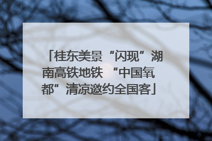 桂东美景“闪现”湖南高铁地铁 “中国氧都”清凉邀约全国客
