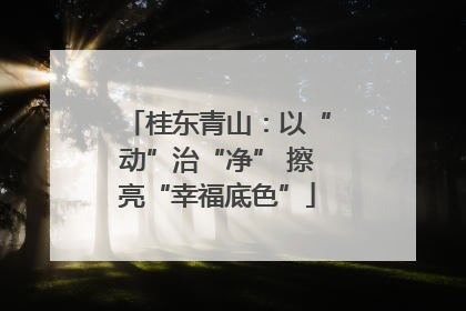 桂东青山：以“动”治“净” 擦亮“幸福底色”