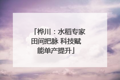 桦川：水稻专家田间把脉 科技赋能单产提升
