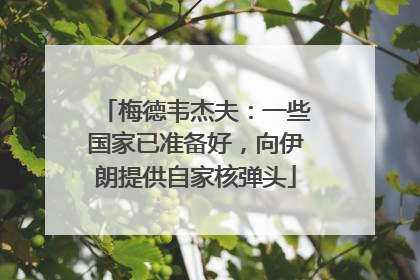 梅德韦杰夫：一些国家已准备好，向伊朗提供自家核弹头