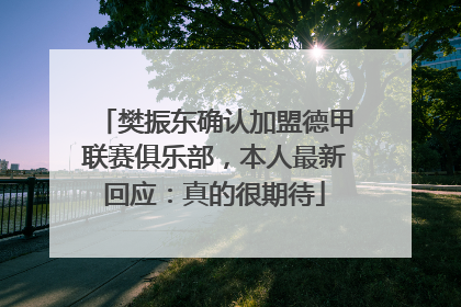 樊振东确认加盟德甲联赛俱乐部，本人最新回应：真的很期待
