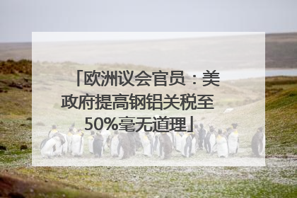 欧洲议会官员：美政府提高钢铝关税至50%毫无道理