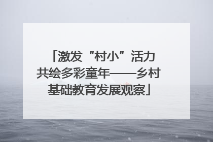 激发“村小”活力 共绘多彩童年——乡村基础教育发展观察