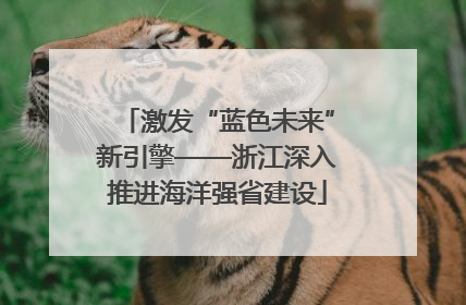 激发“蓝色未来”新引擎——浙江深入推进海洋强省建设