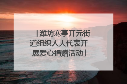 潍坊寒亭开元街道组织人大代表开展爱心捐赠活动