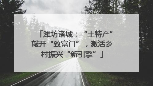 潍坊诸城：“土特产”敲开“致富门”，激活乡村振兴“新引擎”