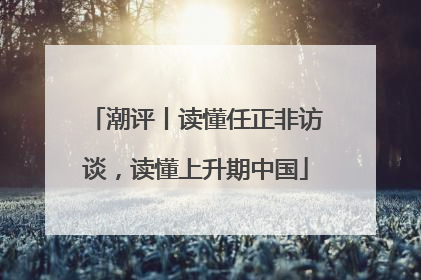潮评丨读懂任正非访谈，读懂上升期中国