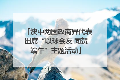 澳中两国政商界代表出席“以球会友·同贺端午”主题活动