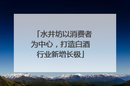 水井坊以消费者为中心，打造白酒行业新增长极