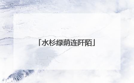 水杉绿荫连阡陌