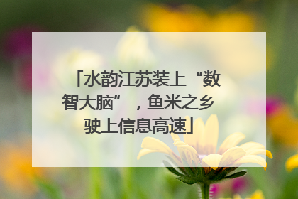 水韵江苏装上“数智大脑”，鱼米之乡驶上信息高速