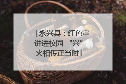 永兴县：红色宣讲进校园 “兴”火相传正当时