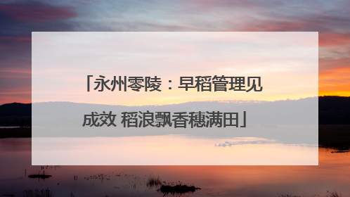 永州零陵：早稻管理见成效 稻浪飘香穗满田