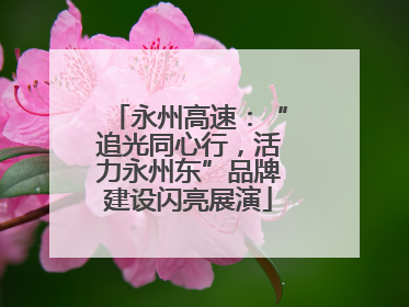 永州高速：“追光同心行，活力永州东”品牌建设闪亮展演