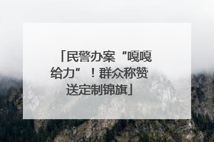 民警办案“嘎嘎给力”！群众称赞送定制锦旗