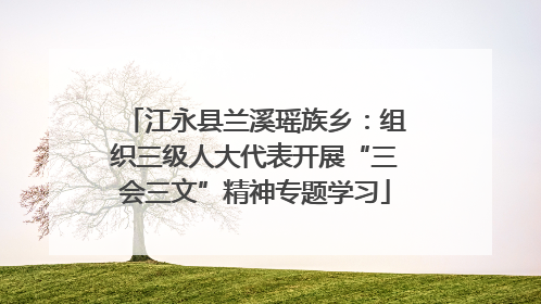 江永县兰溪瑶族乡：组织三级人大代表开展“三会三文”精神专题学习
