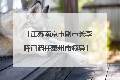 江苏南京市副市长李晖已调任泰州市领导