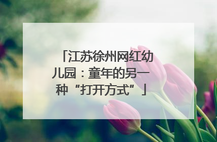 江苏徐州网红幼儿园：童年的另一种“打开方式”
