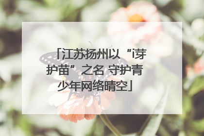 江苏扬州以“i芽护苗”之名 守护青少年网络晴空