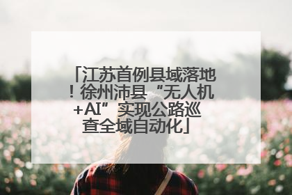 江苏首例县域落地！徐州沛县“无人机+AI”实现公路巡查全域自动化