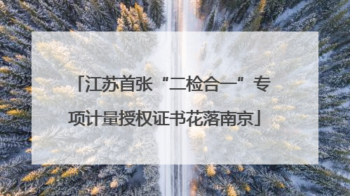 江苏首张“二检合一”专项计量授权证书花落南京