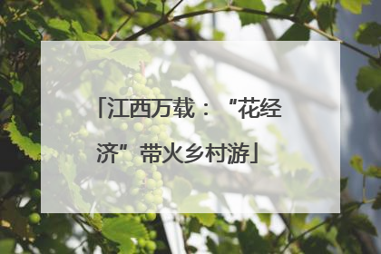 江西万载：“花经济”带火乡村游