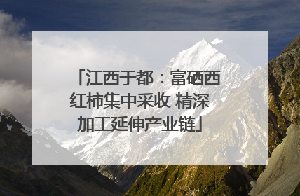 江西于都：富硒西红柿集中采收 精深加工延伸产业链