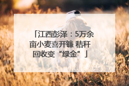 江西彭泽：5万余亩小麦喜开镰 秸秆回收变“绿金”
