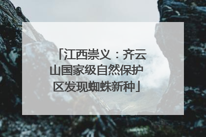江西崇义：齐云山国家级自然保护区发现蜘蛛新种
