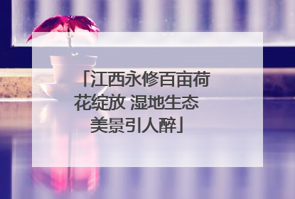 江西永修百亩荷花绽放 湿地生态美景引人醉