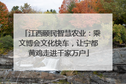 江西颐民智慧农业：乘文博会文化快车，让宁都黄鸡走进千家万户